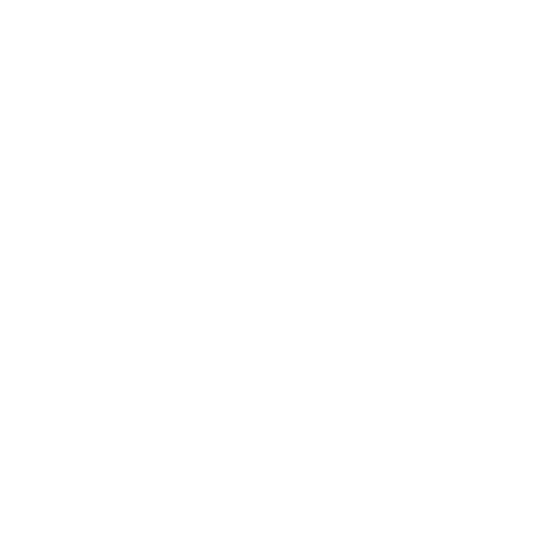 ChipSoft